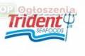 Nowa oferta pracy w przetwrni Trident Seafoods na Alasce