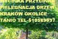 KRAKOW i OKOLICE KOSZENIE TRAWY   WYCINKA PRZYCINKA DRZEWA 510589937