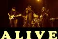 Zespӣ Muzyczny Alive - Krakw. Wesele, Bankiet, Koncert