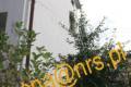 415d Nowa Ni�sza Cena! N.s�cz O�. Kochanowskiego 125m2, 