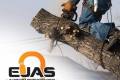Przycinanie drzew, us�ugi arborystyczne - EJAS