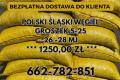 Polski W�giel : Groszek 5-25, 26-28mj - Transport Gratis !